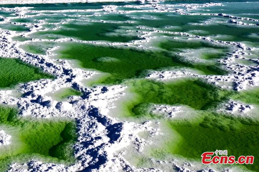 Αλυκή Qarhan: σμαραγδένια πράσινη το φθινόπωρο