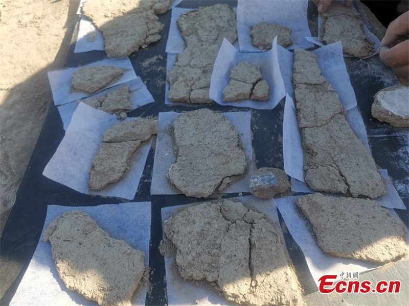 Μεγάλος αριθμός κειμηλίων αποκαλύφθηκε στα ερείπια των Τανγκ στην επαρχία Σιντζιάνγκ