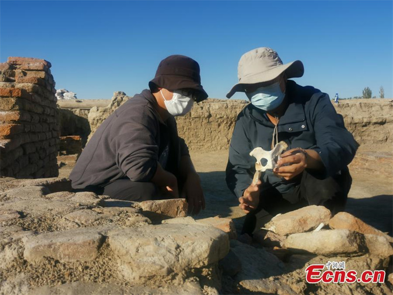 Μεγάλος αριθμός κειμηλίων αποκαλύφθηκε στα ερείπια των Τανγκ στην επαρχία Σιντζιάνγκ