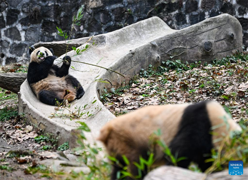 (Φωτογραφία: Xinhua/Wang Xi)