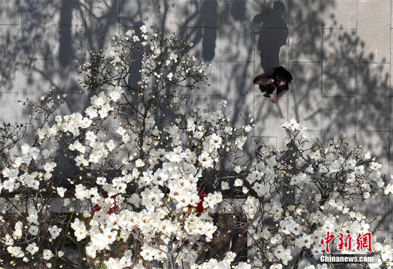 (Φωτογραφία: China News Service / Wang Gang)