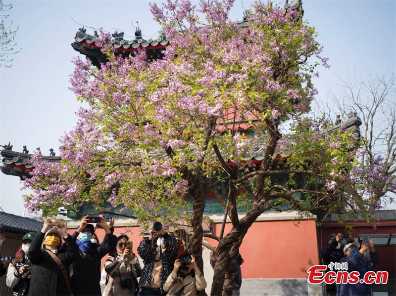 (Φωτογραφία: China News Service)