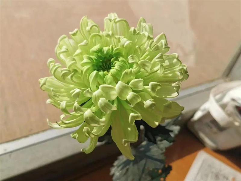 Μια κοπέλα αφιερωμένη στην τέχνη της κατασκευής λουλουδιών τονγκτσάο