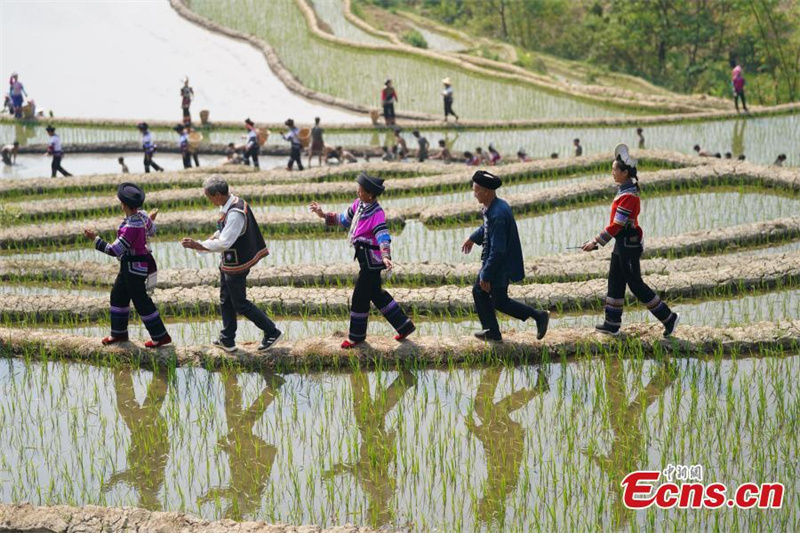 Οι Χάνι γιορτάζουν το φεστιβάλ γεωργίας στο Γιουνάν