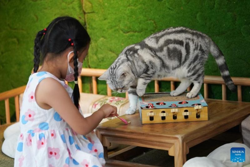 Ο γατοκαφενές της Οδού Νανλουογκουσιάνγκ