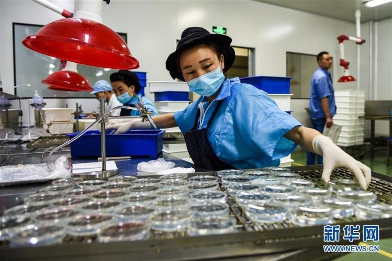 Ντανγιάνγκ, η πρωτεύουσα των γυαλιών στην Κίνα: παράγει περισσότερα από 400 εκατομμύρια κομμάτια γυαλιών ετησίως, αντιπροσωπεύοντας το ήμισυ του συνόλου στον κόσμο