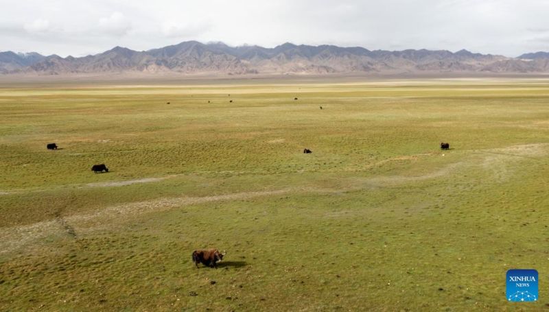 Τοπίο του εθνικού φυσικού καταφυγίου των βουνών Aλτούν στην επαρχία Σιντζιάνγκ της βορειοδυτικής Κίνας