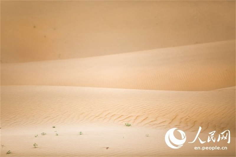 Η φωτογραφία δείχνει ένα κομμάτι ερήμου στη βορειοδυτική Κίνα. Οι έρημοι ήταν ο μεγαλύτερος εφιάλτης για την Οτγκονχουάρ στην καθημερινότητά της. [People