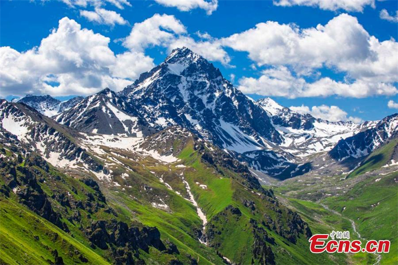 Καλοκαιρινό τοπίο που κόβει την ανάσα στο Κουερντενίνγκ