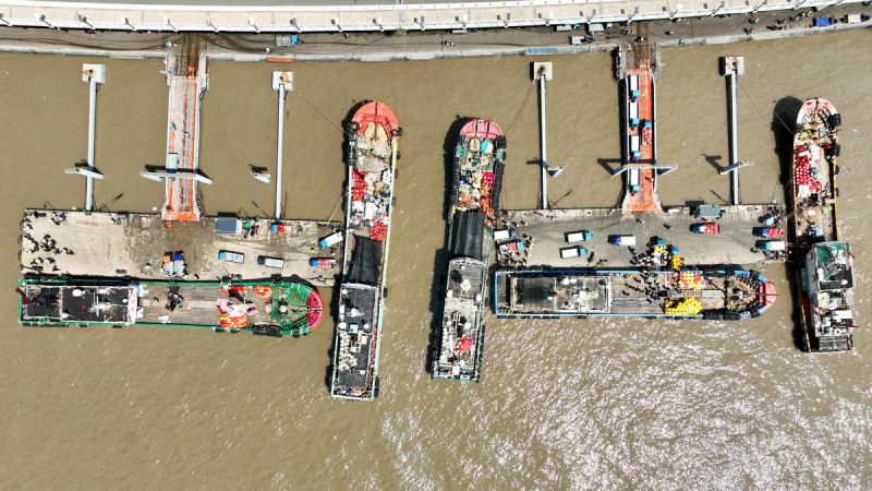 Τζοουσάν, Τζετζιάνγκ: Πλούσια συγκομιδή καβουριών και καυτές πωλήσεις