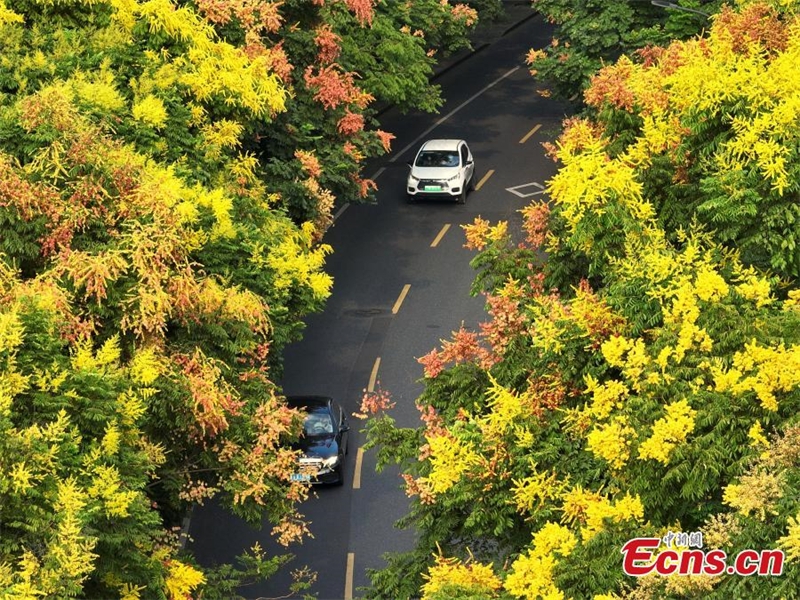 Τα φθινοπωρινά χρώματα του Χανγκτζόου που φιλοξενεί τους 19ους Ασιατικούς Αγώνες