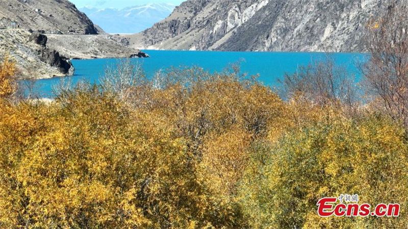 Εντυπωσιακό φθινοπωρινό τοπίο στη λίμνης Γιουχού στο Σιντζιάνγκ