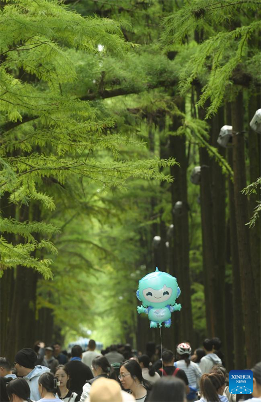 Τουρισμός στο βυθισμένο δάσος της λίμνης Τσινγκσάν