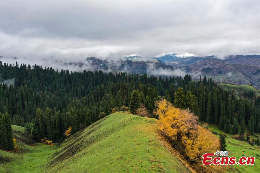 Τοπίο των βουνών Τιενσάν μετά την βροχή στο Σιντζιάνγκ