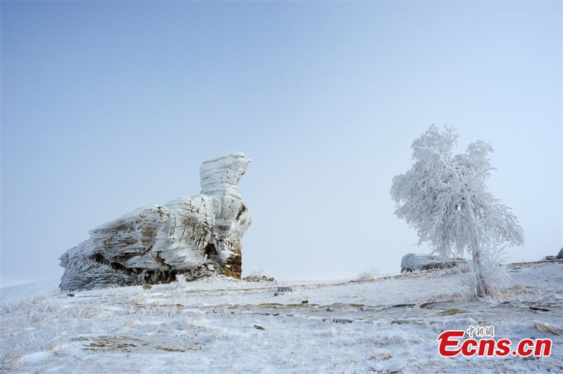 Εντυπωσιακό τοπίο στο Πέτρινο Δάσος Ασιχατού