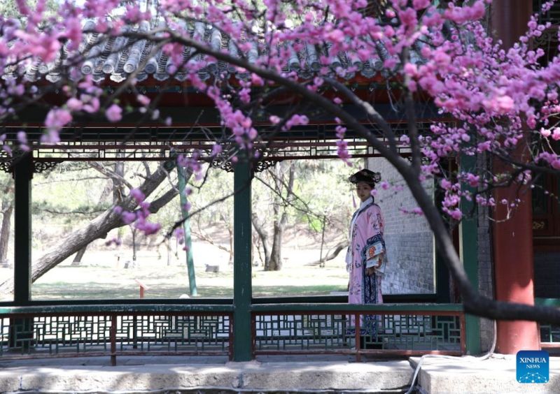 Κόσμος απολαμβάνει υπαίθριες δραστηριότητες καθώς ανοιξιάτικα λουλούδια ανθίζουν σε όλη την Κίνα