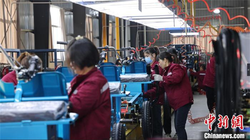 Το κινεζικό κορυφαίο προϊόν: «Σανμπένγκζι»