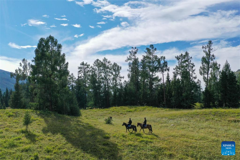 Το αστυνομικό τμήμα βοηθά στην επίλυση των προβλημάτων των τουριστών εν μέσω τουριστικής έκρηξης στη γραφική περιοχή Κανάς