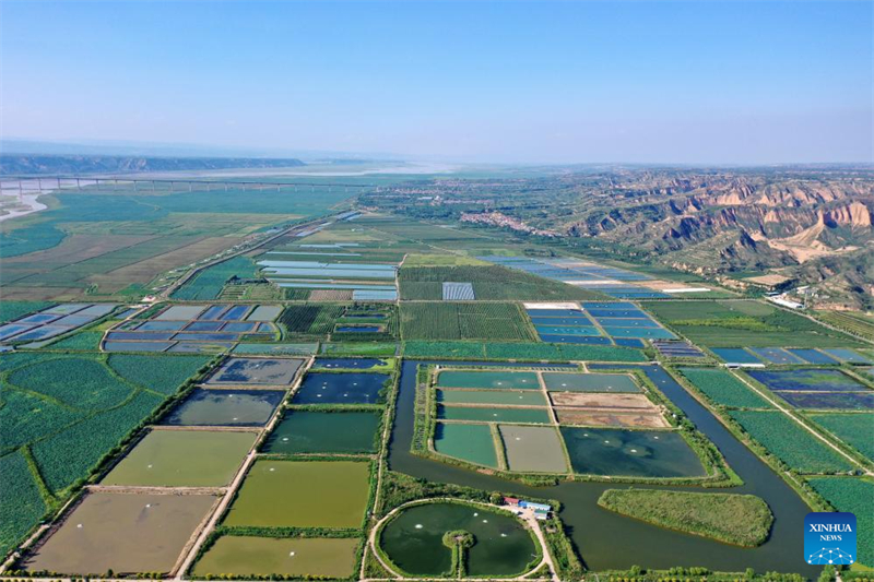 Καλλιέργεια καβουριών στο χωριό της επαρχίας Σανσί