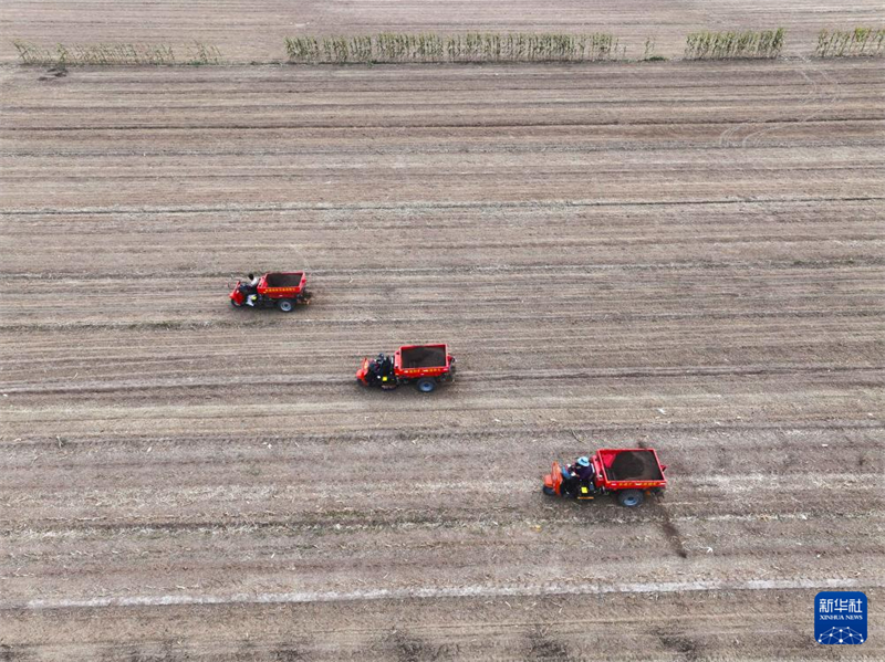 Η φθινοπωρινή φύτευση, τη συγκομιδή και διάφορες εργασίες διαχείρισης αγρού