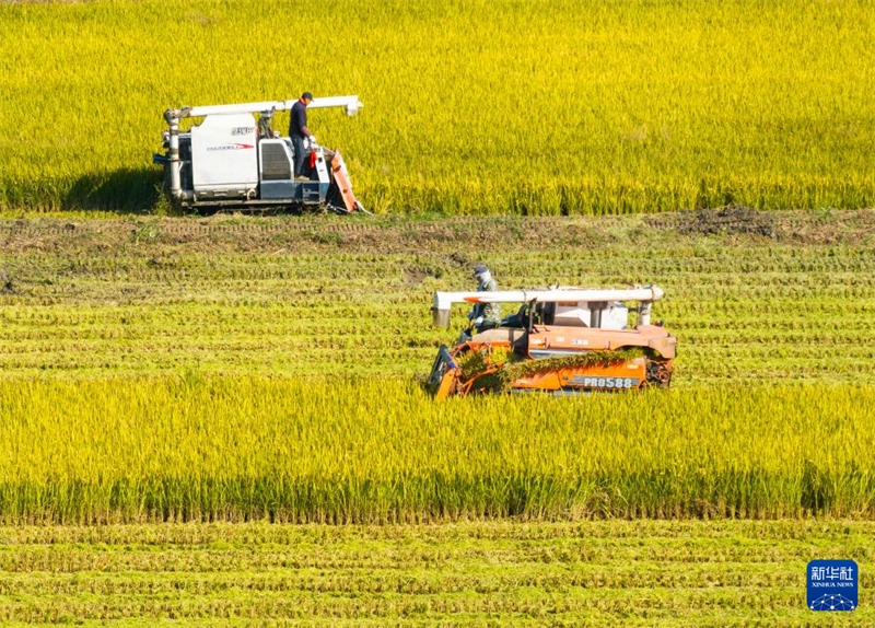 Η φθινοπωρινή φύτευση, τη συγκομιδή και διάφορες εργασίες διαχείρισης αγρού