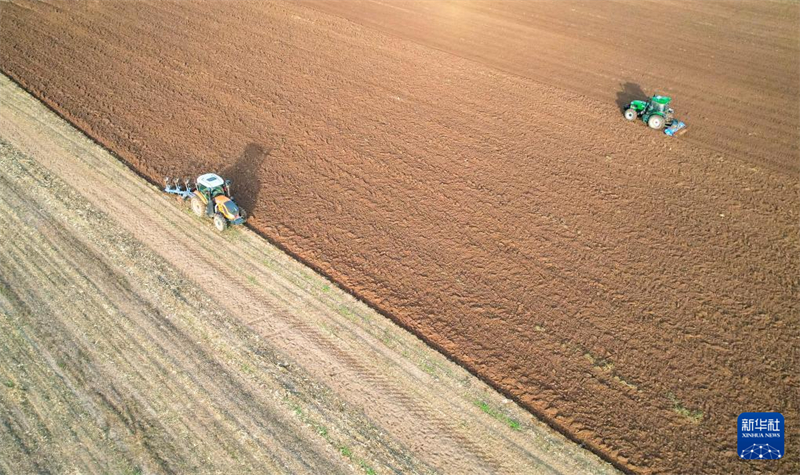 Η φθινοπωρινή φύτευση, τη συγκομιδή και διάφορες εργασίες διαχείρισης αγρού