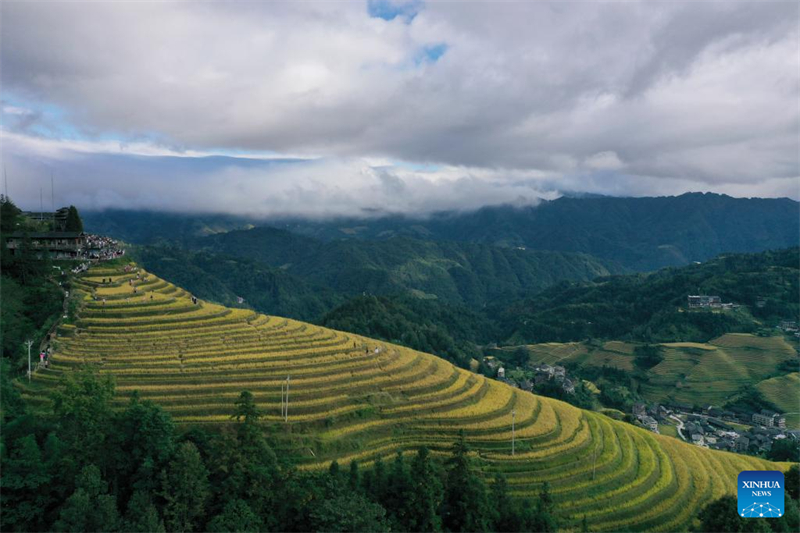 Τοπίο των ορυζώνων Λονγκτζί στην αυτόνομη περιοχή Γκουανσί Τζουάνγκ