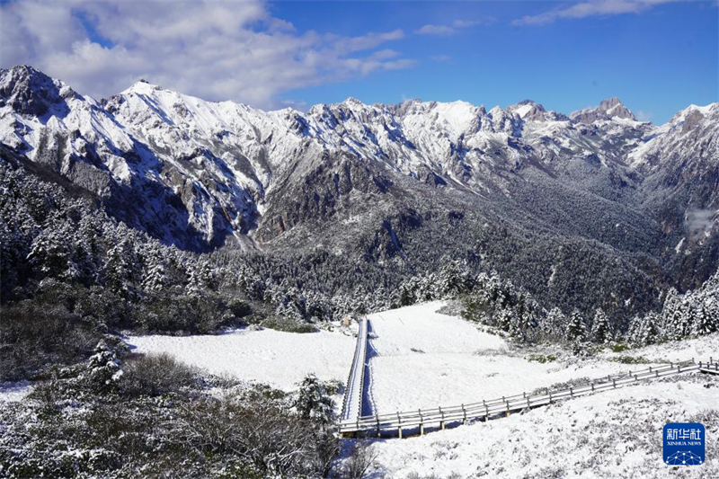 Χιόνισε στο Δασικό Πάρκο Γκουανεγκόου