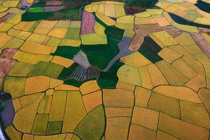 Στην επαρχία Γκουανσί η ύπαιθρος είναι πολύχρωμη με άφθονα τοπία