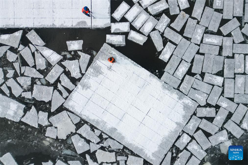 Η σεζόν συλλογής πάγου ξεκινά στο Χαρμπίν, στη βόρεια Κίνα