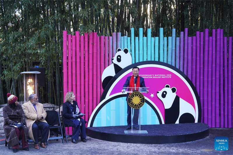 Ζευγάρι γιγάντιων Πάντα κάνει το δημόσιο ντεμπούτο του στην Ουάσιγκτον