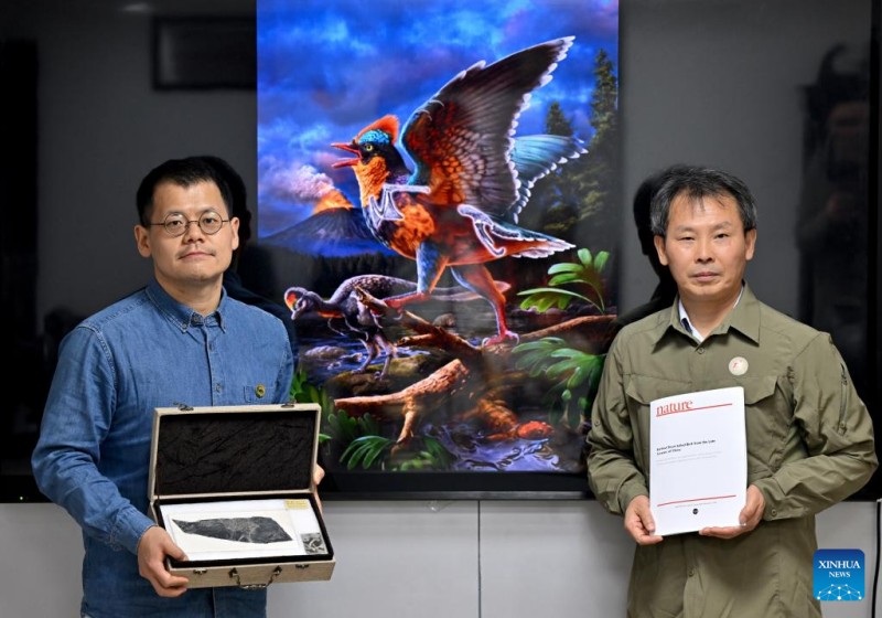 Στιγμιότυπα της σημερινής ειδησιογραφίας στην Κίνα