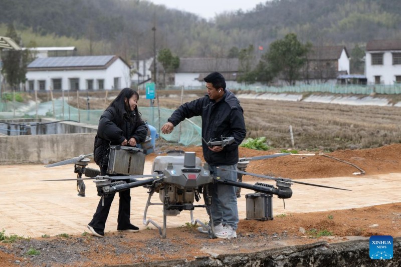 Η Τιάν Σουσιαν (αριστερά) και ο σύζυγός της αλλάζουν την μπαταρία ενός γεωργικού drone στο χωριό Ανφένγκ, στην πόλη Τζονγκχουπό, της πόλης Τσίμπι, στην κεντρική επαρχία Χουμπέι της Κίνας, στις 7 Φεβρουαρίου 2025.