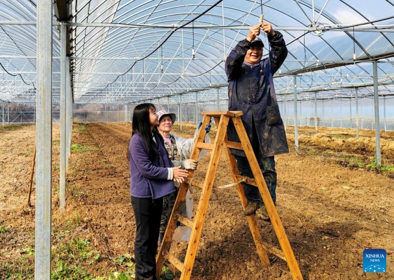 Μια αντιπρόσωπος της Λαϊκής Εθνοσυνέλευσης στο πλευρό των αγροτών της επαρχίας Χουμπέι της Κίνας