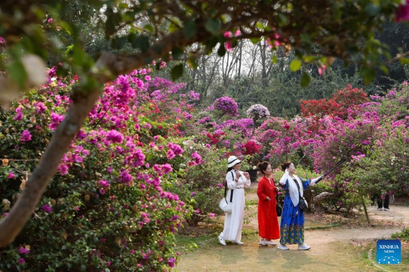 Ανοιξιάτικες εικόνες από διάφορες περιοχές της Κίνας