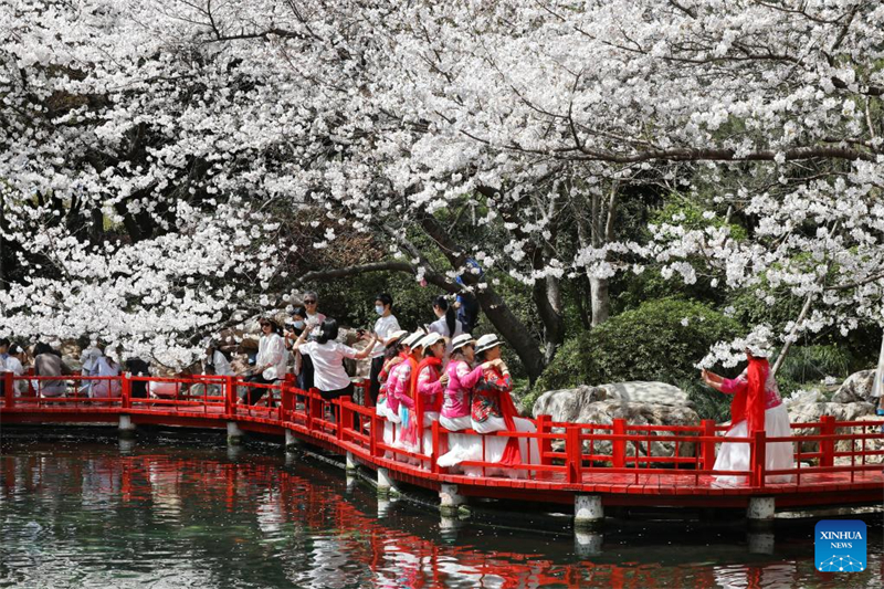 Εικόνες αρμονίας από την καθημερινότητα των κατοίκων της επαρχίας της Zhejiang στην Κίνα