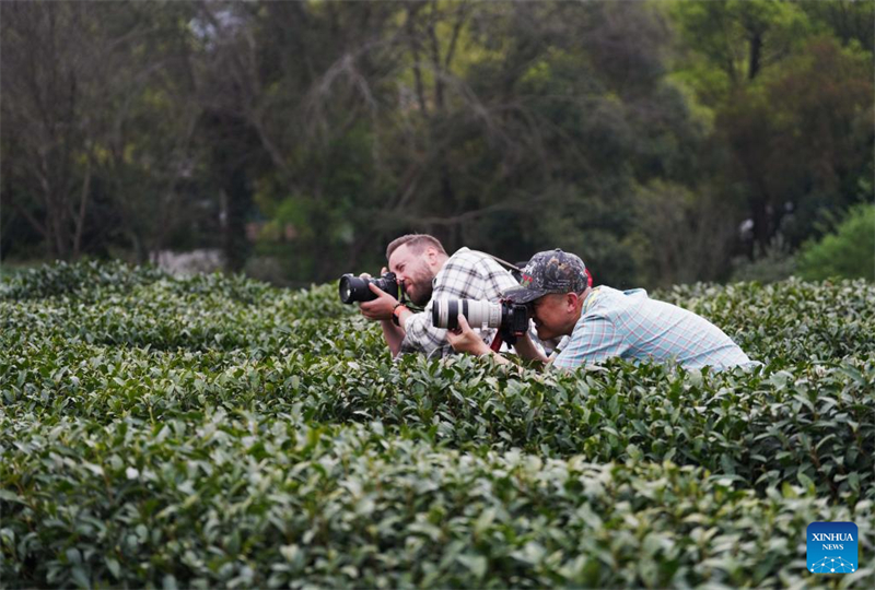 Ο Winston Zhou (δεξιά), πρόεδρος της Ένωσης Φωτογράφων Βόρειας Αμερικής, τραβά φωτογραφίες σε έναν κήπο τσαγιού στο Hangzhou, ανατολική επαρχία Zhejiang της Κίνας, 27 Μαρτίου 2025. (Φωτογραφία / Xinhua)