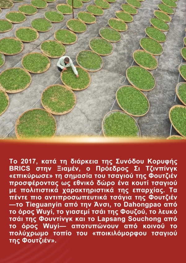Η Ιστορία του Προέδρου Σι Τζινπίνγκ και του Τσαγιού της Φουτζιέν