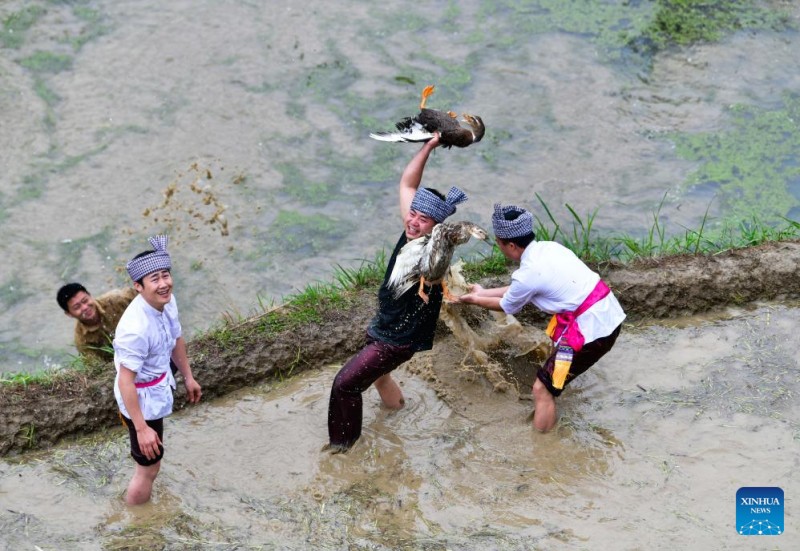 Χωρικοί συμμετέχουν σε δραστηριότητα κυνηγιού πάπιας στο πλαίσιο πολιτιστικής εκδήλωσης που διεξήχθη σε αναβαθμισμένα χωράφια στην Κομητεία Κονγκτζιάνγκ, στην επαρχία Γκουϊτζού της νοτιοδυτικής Κίνας, στις 26 Απριλίου 2025.