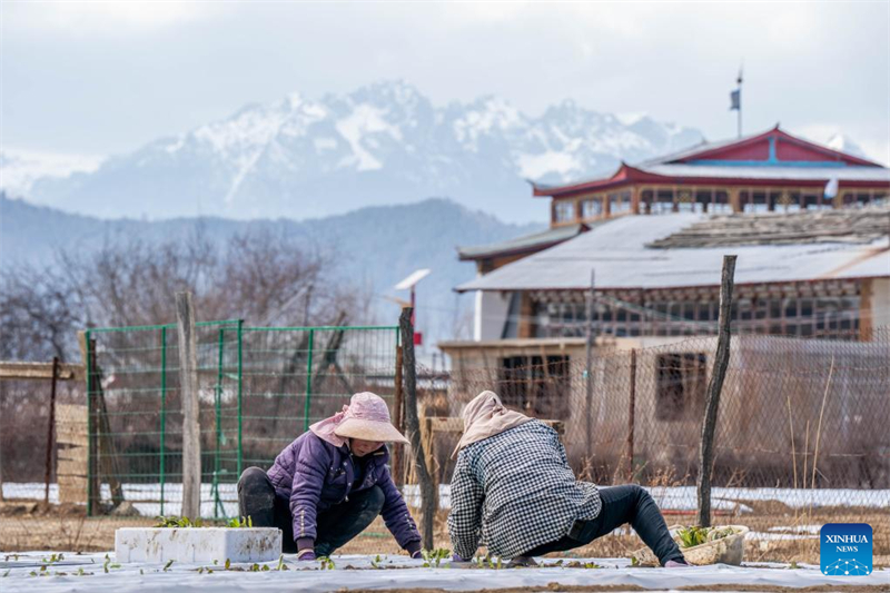 Το τοπίο της Σιανγκρι-Λα στην επαρχία Γιουνάν της Κίνας