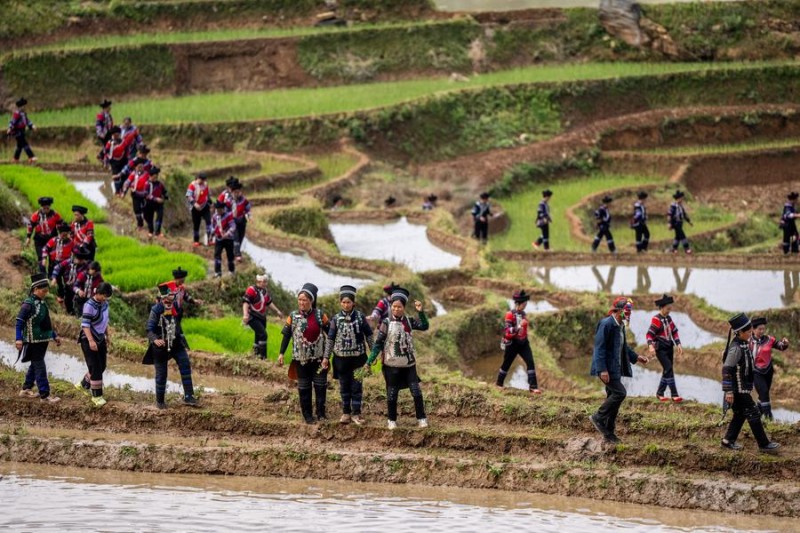 Αγροοικοσύστημα 1.300 ετών στην επαρχία Γιουνάν της νοτιοδυτικής Κίνας