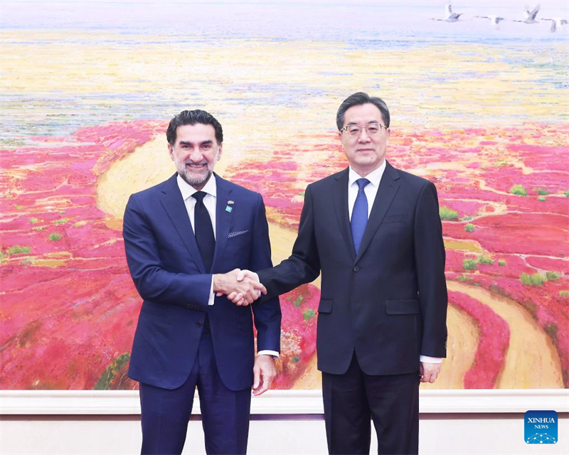 Ο Κινέζος Αντιπρόεδρος Ντινγκ Σουεσιάνγκ, επίσης μέλος της Μόνιμης Επιτροπής του Πολιτικού Γραφείου της Κεντρικής Επιτροπής του Κομμουνιστικού Κόμματος της Κίνας, συναντά τον Γιασέρ Αλ-Ρουμαγιάν, πρόεδρο του διοικητικού συμβουλίου της Saudi Aramco, στο Πεκίνο, πρωτεύουσα της Κίνας, στις 8 Μαΐου 2025. (Φωτογραφία / Xinhua)