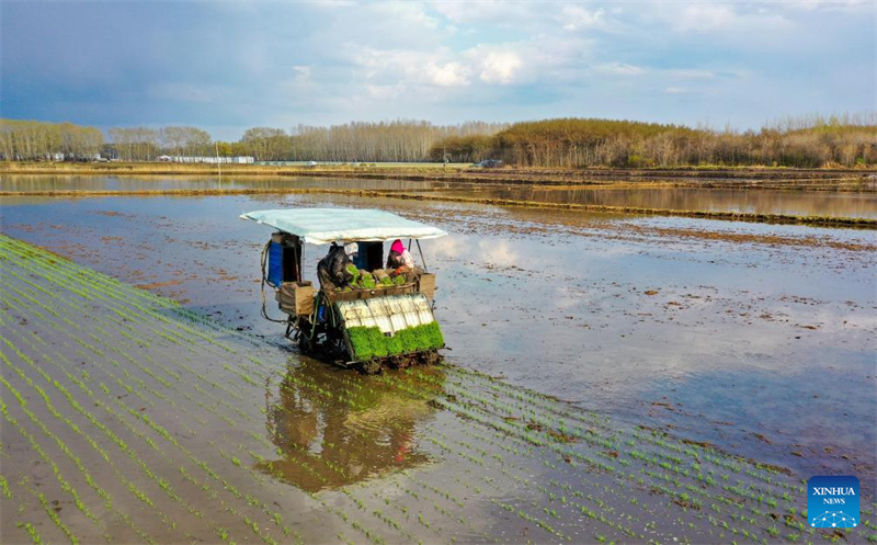 Η ανοιξιάτικη σπορά στις καλλιεργήσιμες περιοχές της Χεϊλονγκτζιάνγκ σε πλήρη εξέλιξη