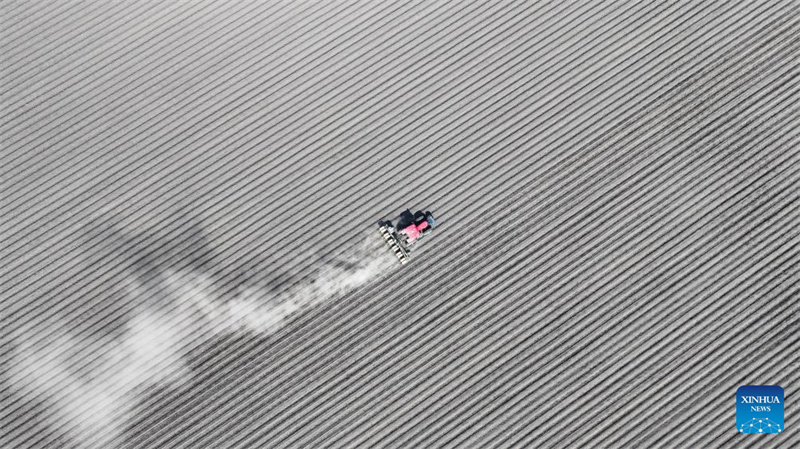 Η ανοιξιάτικη σπορά στις καλλιεργήσιμες περιοχές της Χεϊλονγκτζιάνγκ σε πλήρη εξέλιξη