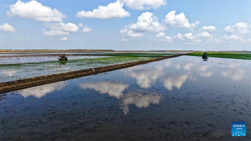 Η ανοιξιάτικη σπορά στις καλλιεργήσιμες περιοχές της Χεϊλονγκτζιάνγκ σε πλήρη εξέλιξη