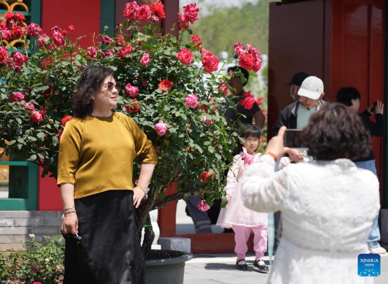 Ξεκίνησε το 9ο Διεθνές Συμποσίου για την Έρευνα και Καλλιέργεια Τριαντάφυλλου στο Πεκίνο