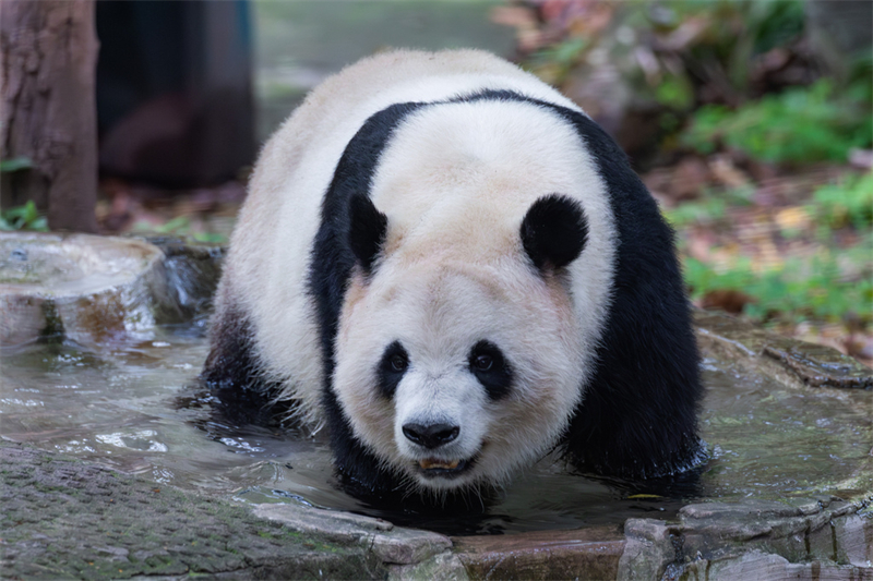 (Φωτογραφία / CRI)