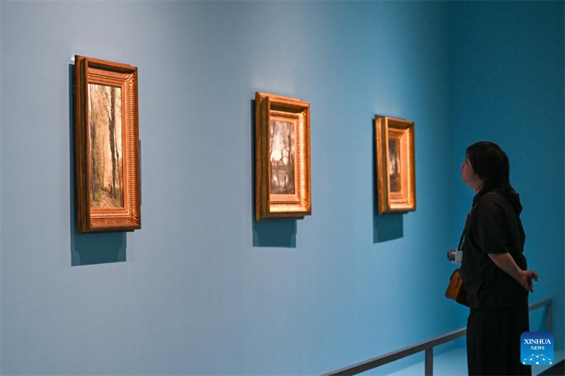 Ελαιογραφίες από τη Γαλλία εκτίθενται στην Γουχάν της Κίνας