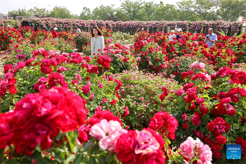 Ημέρα Τουρισμού σε όλη την Κίνα