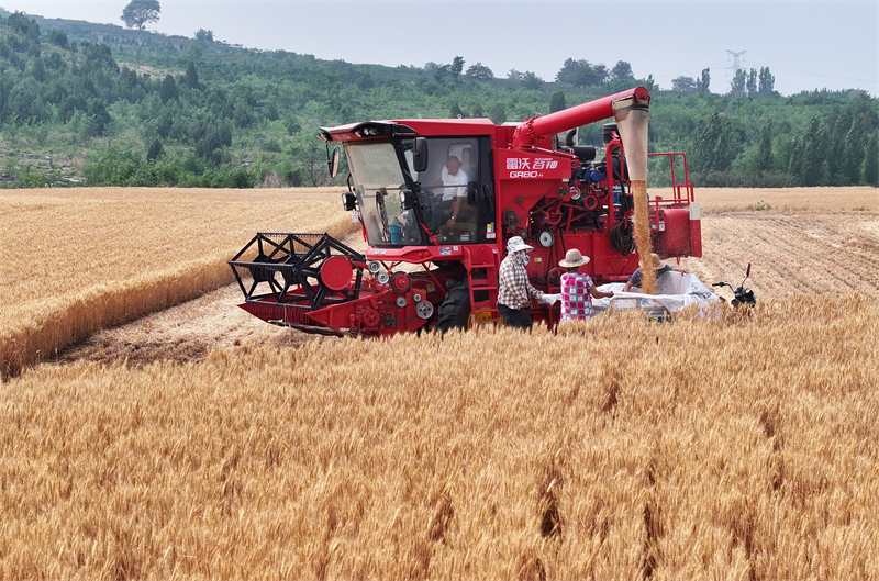 (Φωτογραφία / Λαϊκή Καθημερινή Online)